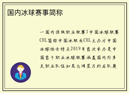 国内冰球赛事简称